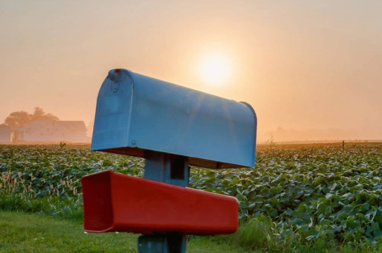 What Color Should Mailbox Be? [Inc. 15 Examples]